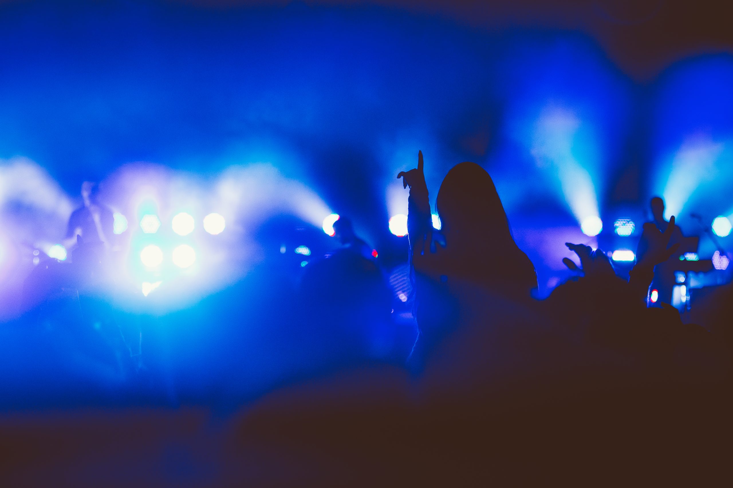 Matevž Kocjan: Exit Festival 2014